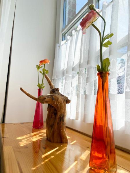Der Nagelhof Apartment *